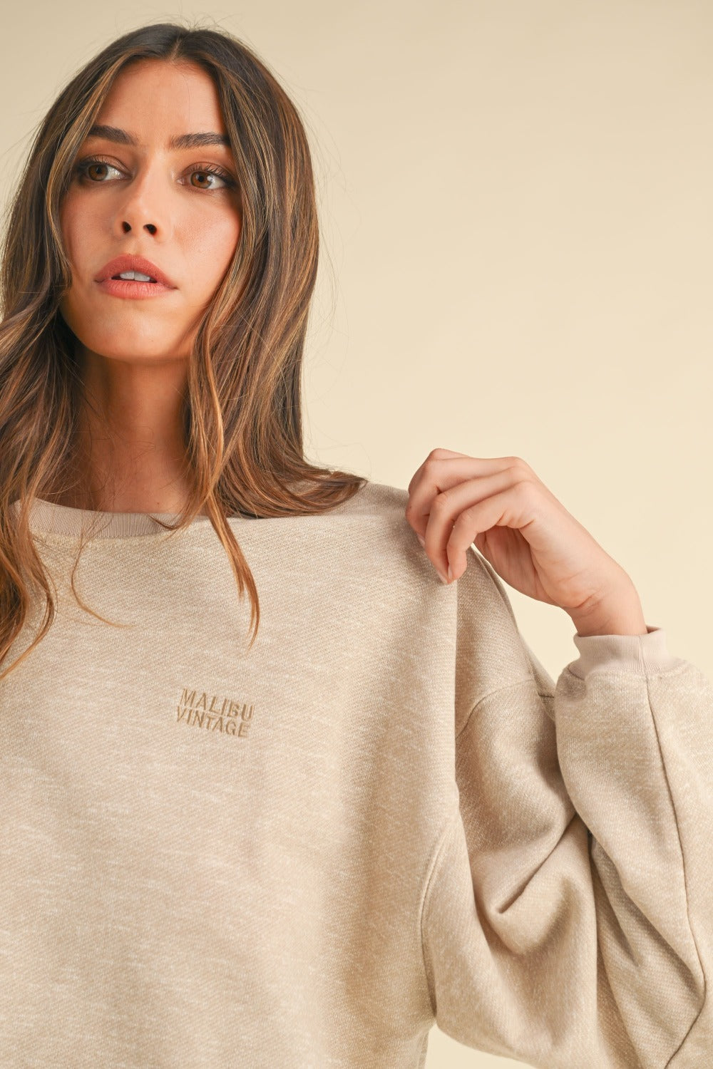 Malibu Vintage Embroidery Crop Sweatshirt in Taupe