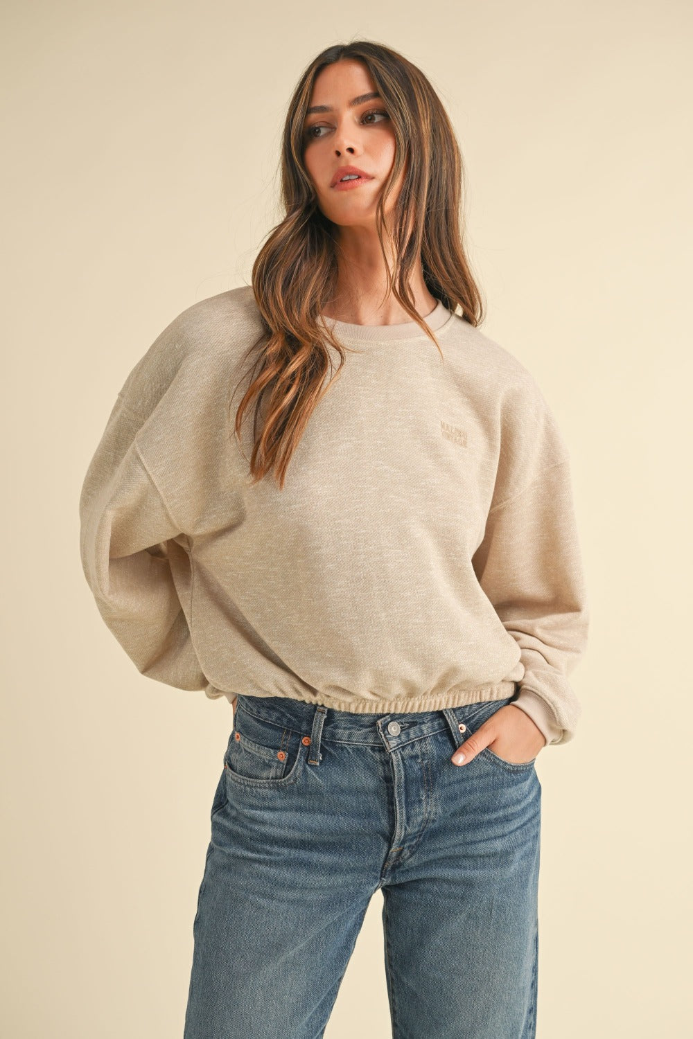 Malibu Vintage Embroidery Crop Sweatshirt in Taupe